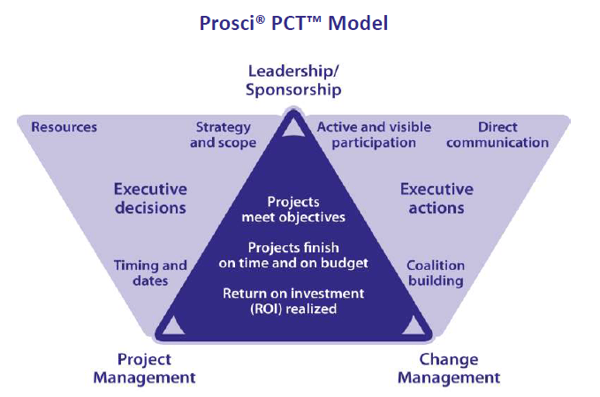 PCT executive action vs executive decision