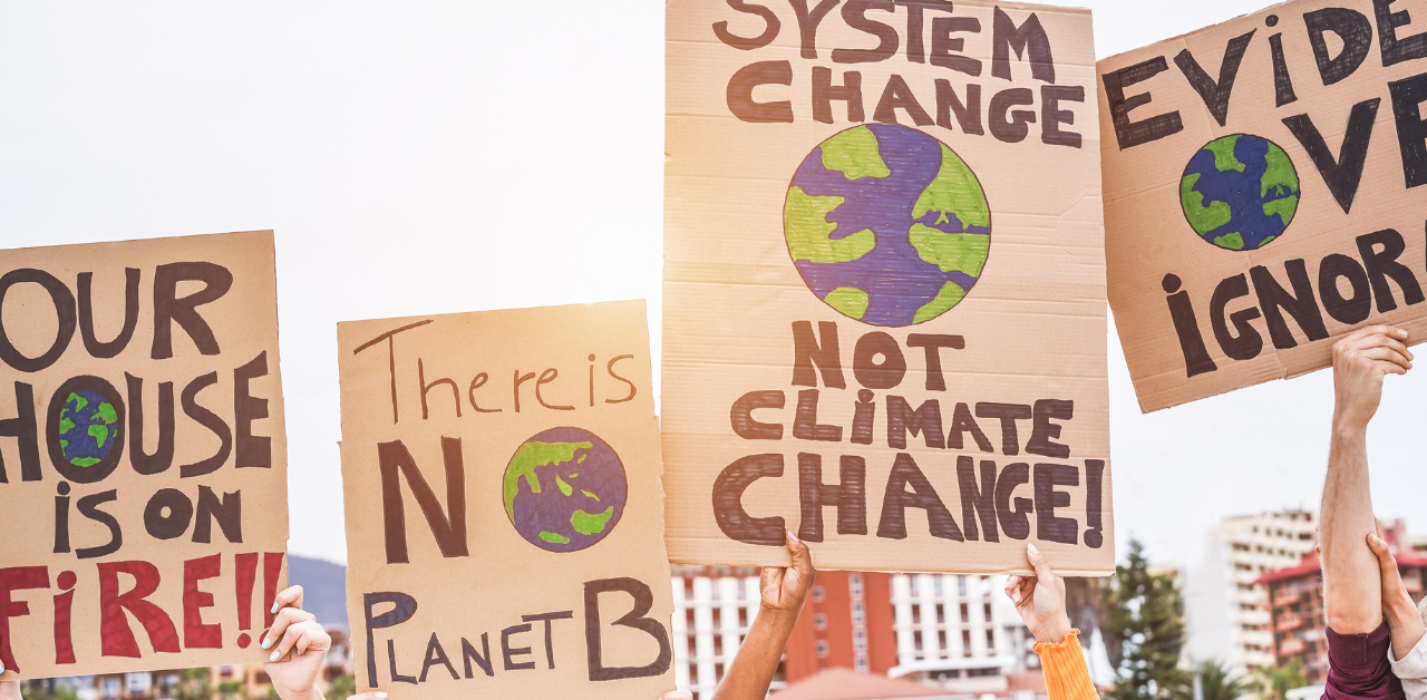 Climate crisis: how are organisations responding to this change?